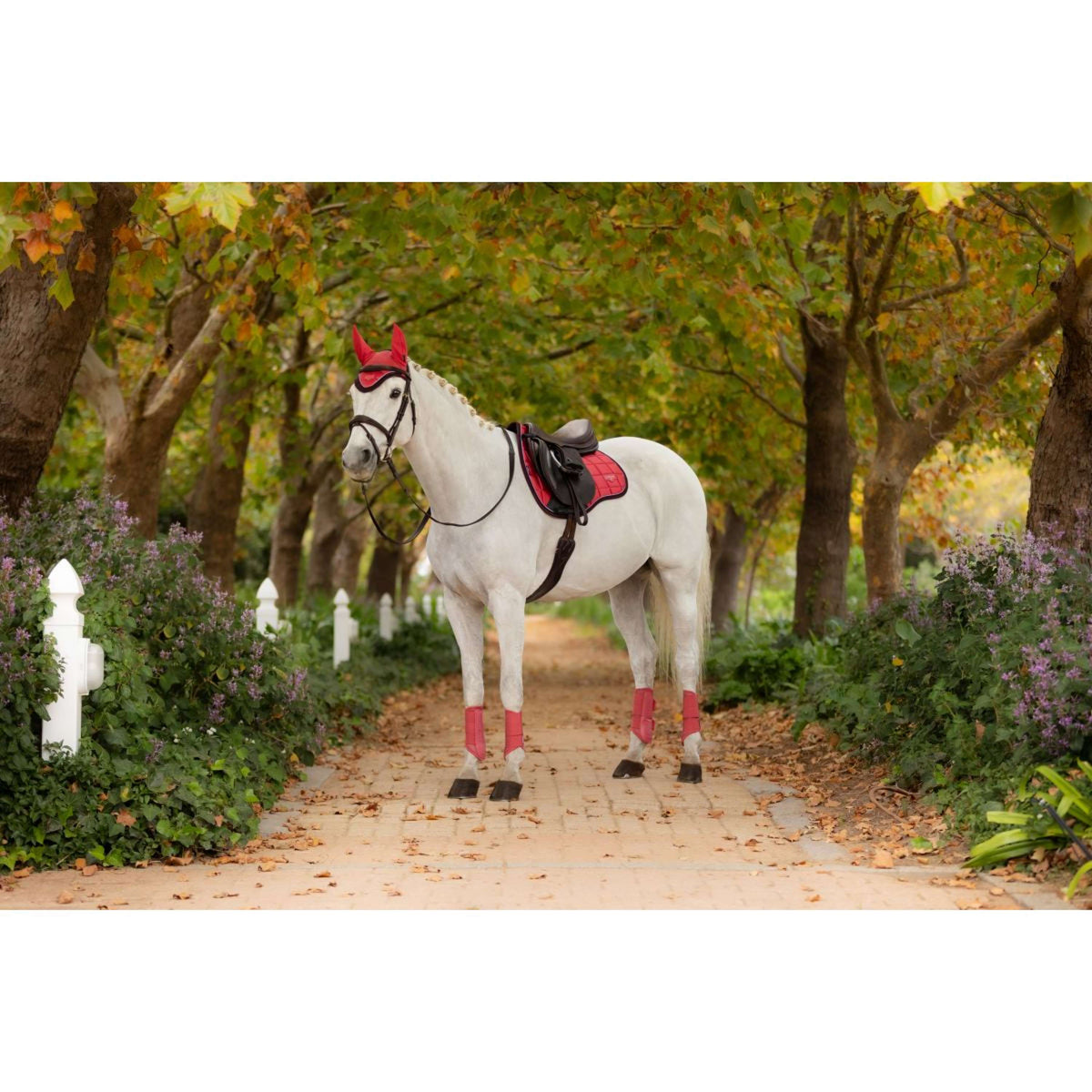 LeMieux Saddlepad Loire Classic General Purpose Cranberry