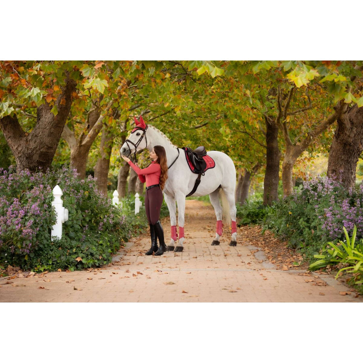 LeMieux Saddlepad Loire Classic General Purpose Cranberry