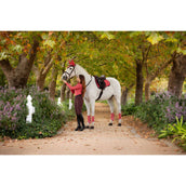 LeMieux Saddlepad Loire Classic General Purpose Cranberry