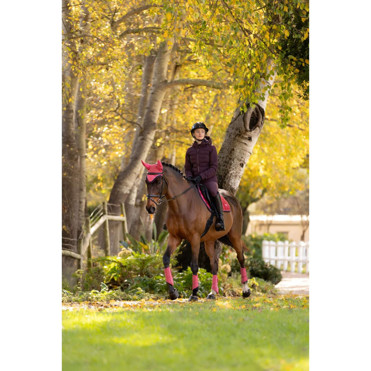 LeMieux Jacket Brooke Waterproof Damson