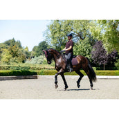 LeMieux Polo Classique Men Damson