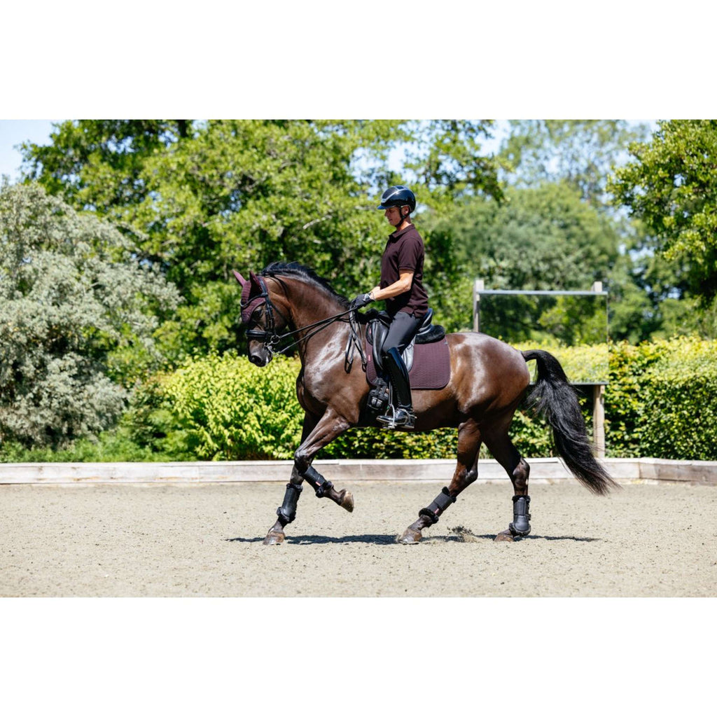 LeMieux Polo Classique Men Damson