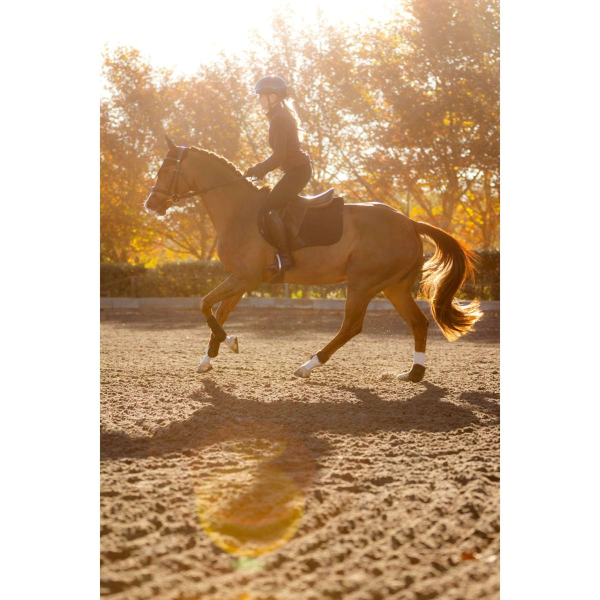 LeMieux Saddlepad Essence Jumping Black