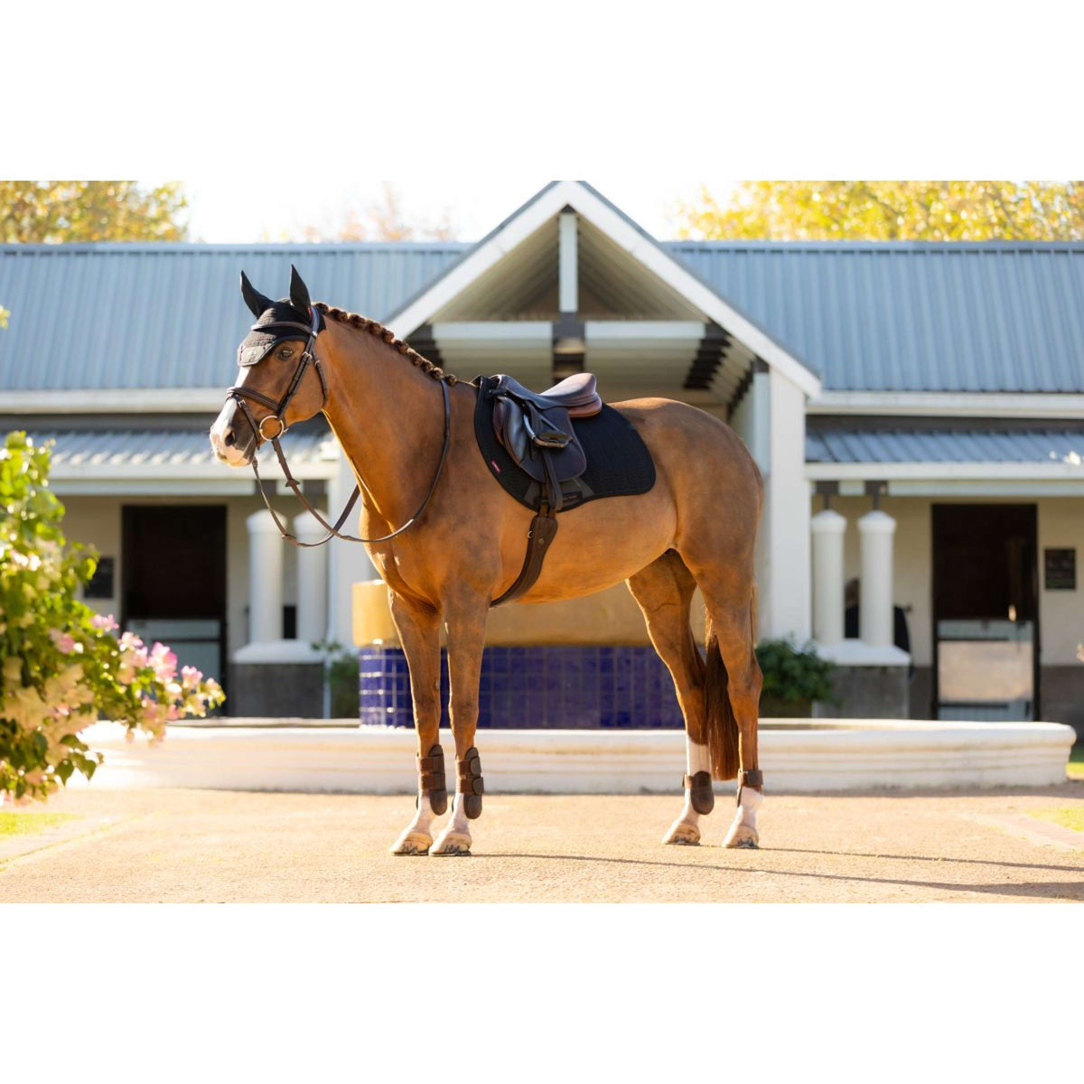 LeMieux Saddlepad Essence Jumping Black