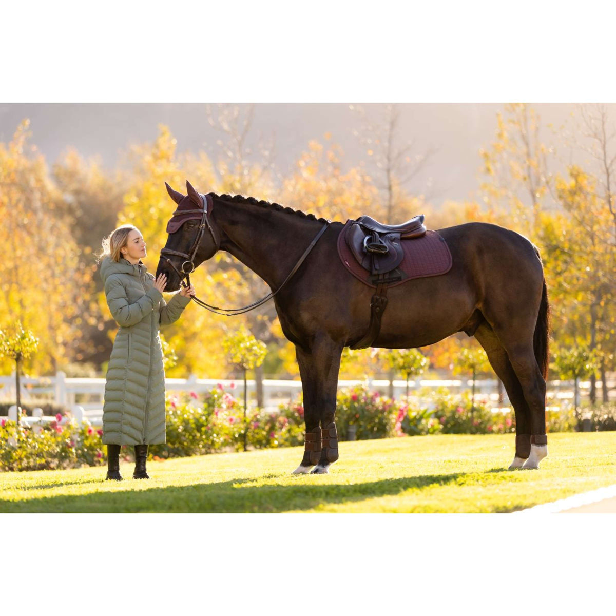 LeMieux Saddlepad Essence Jumping Damson