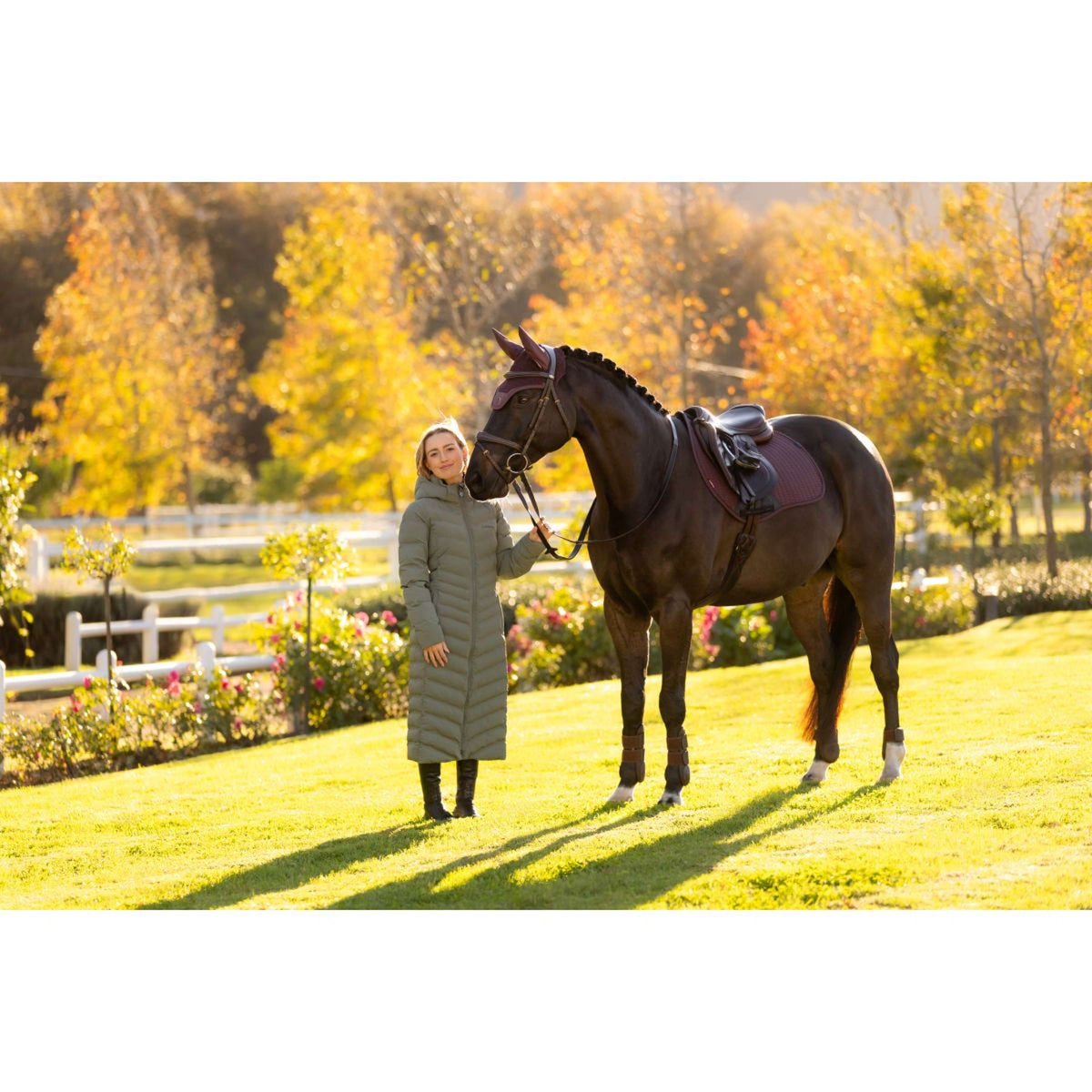 LeMieux Saddlepad Essence Jumping Damson