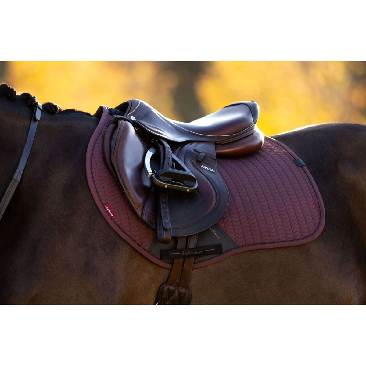 LeMieux Saddlepad Essence Jumping Damson
