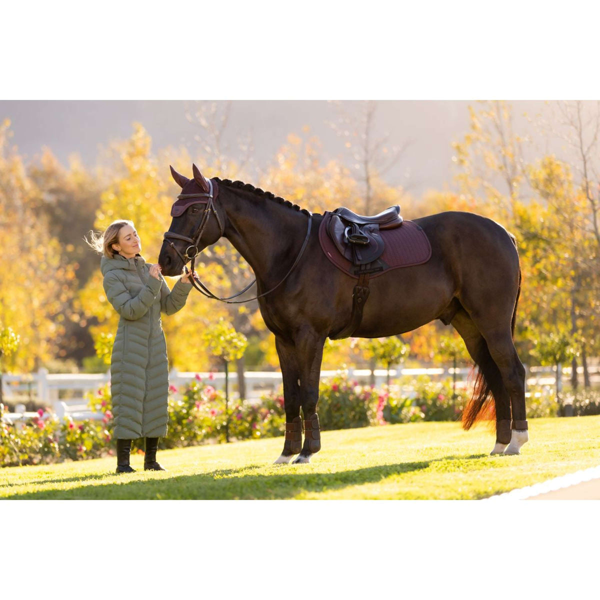 LeMieux Saddlepad Essence Jumping Damson