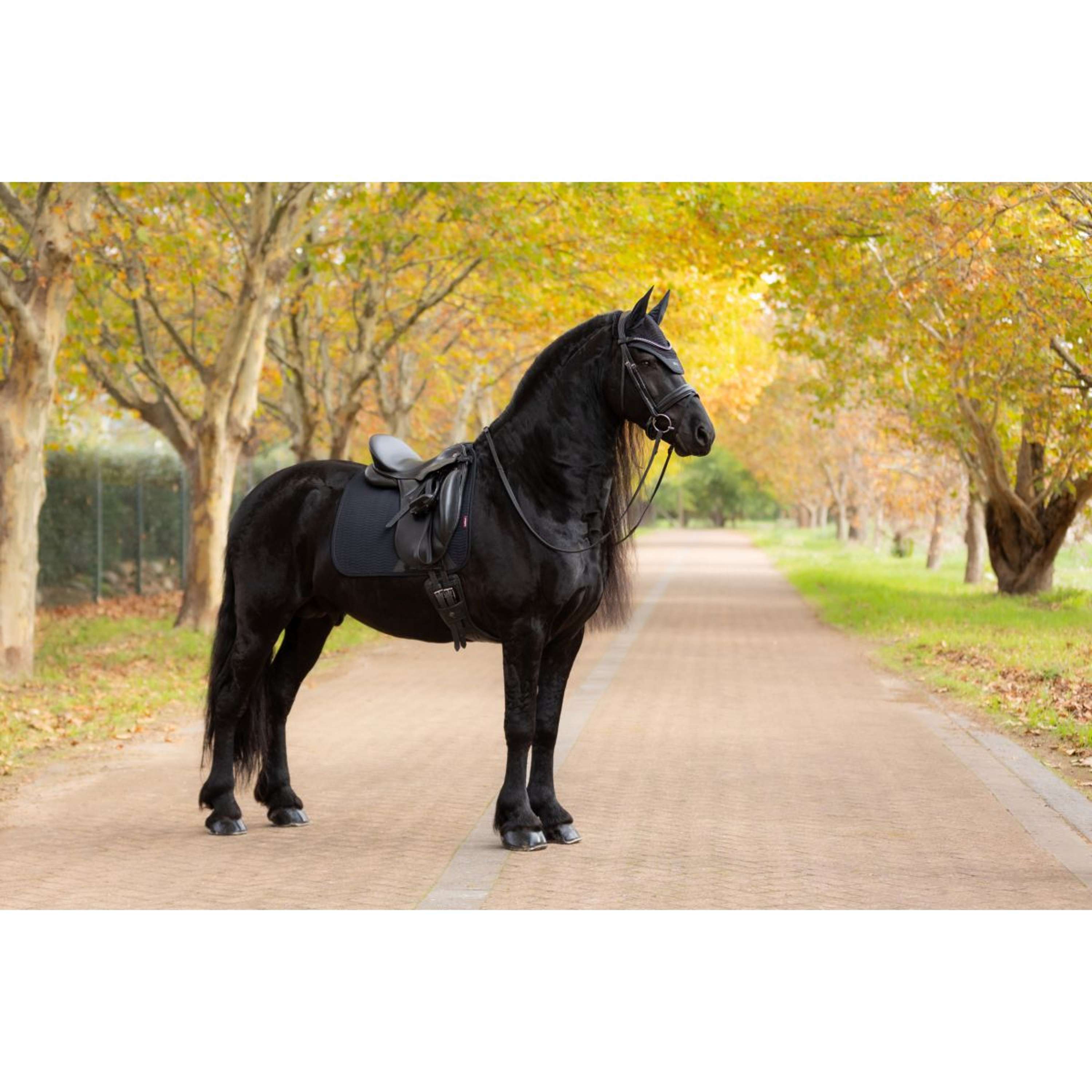 LeMieux Saddlepad Essence Dressage Black