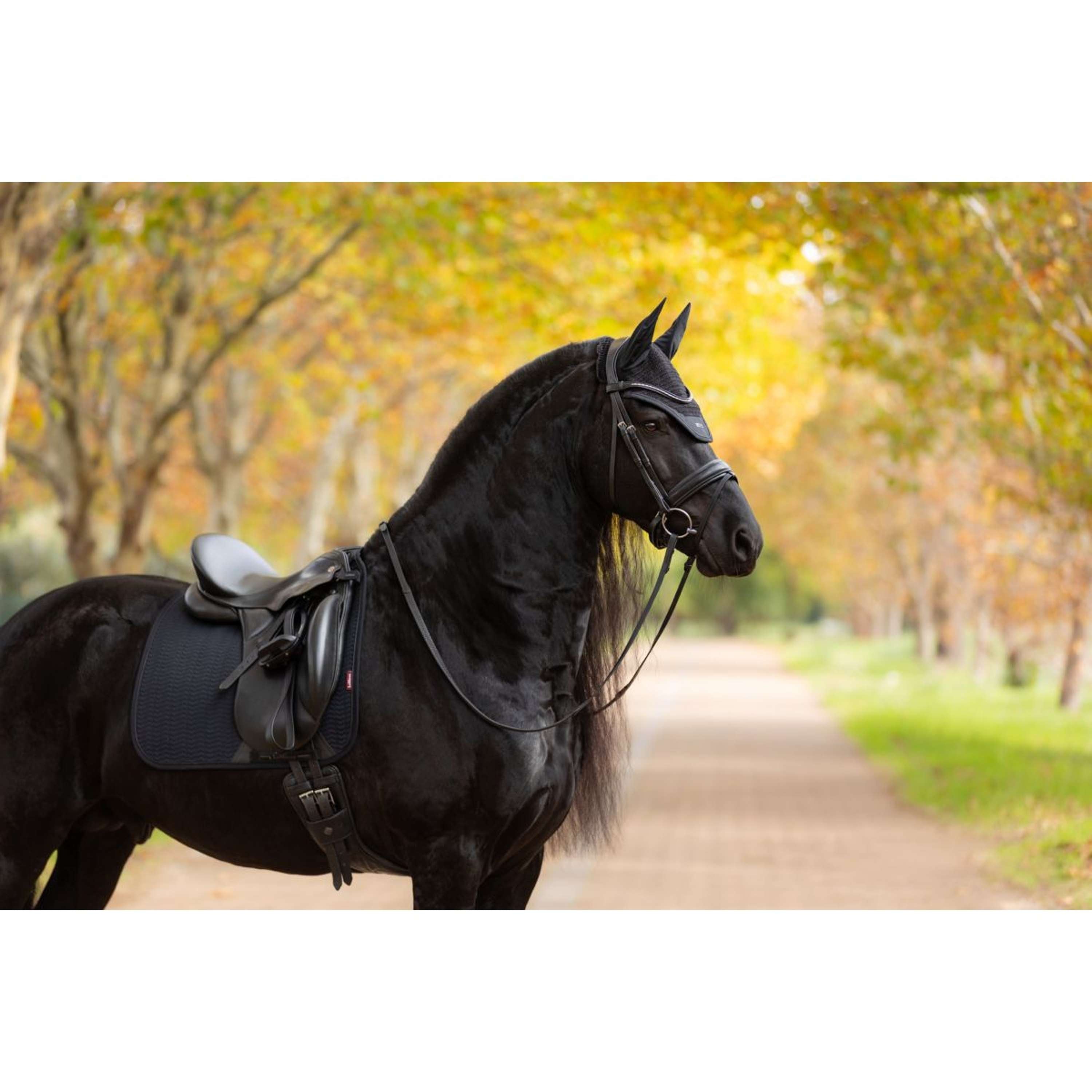 LeMieux Saddlepad Essence Dressage Black