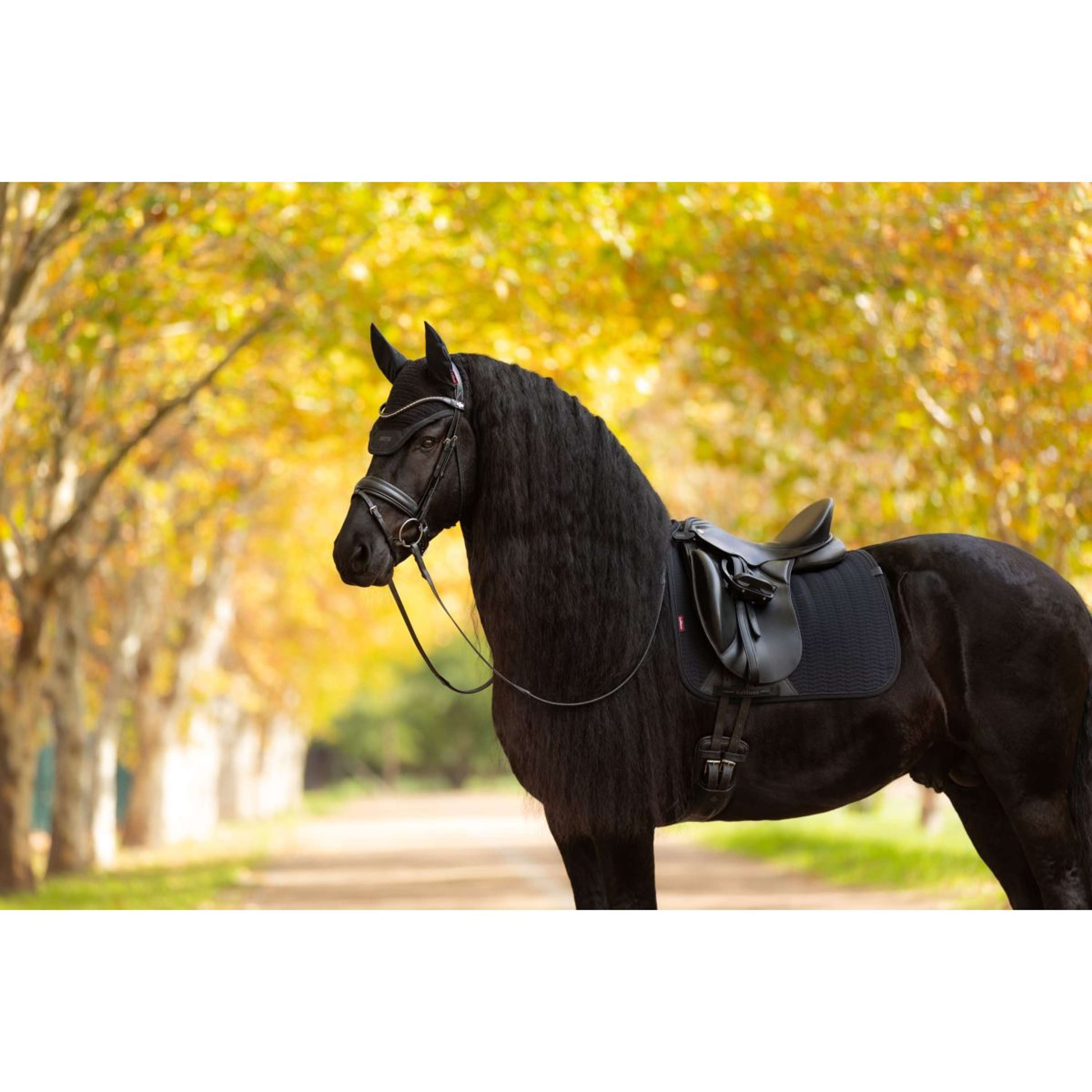 LeMieux Saddlepad Essence Dressage Black