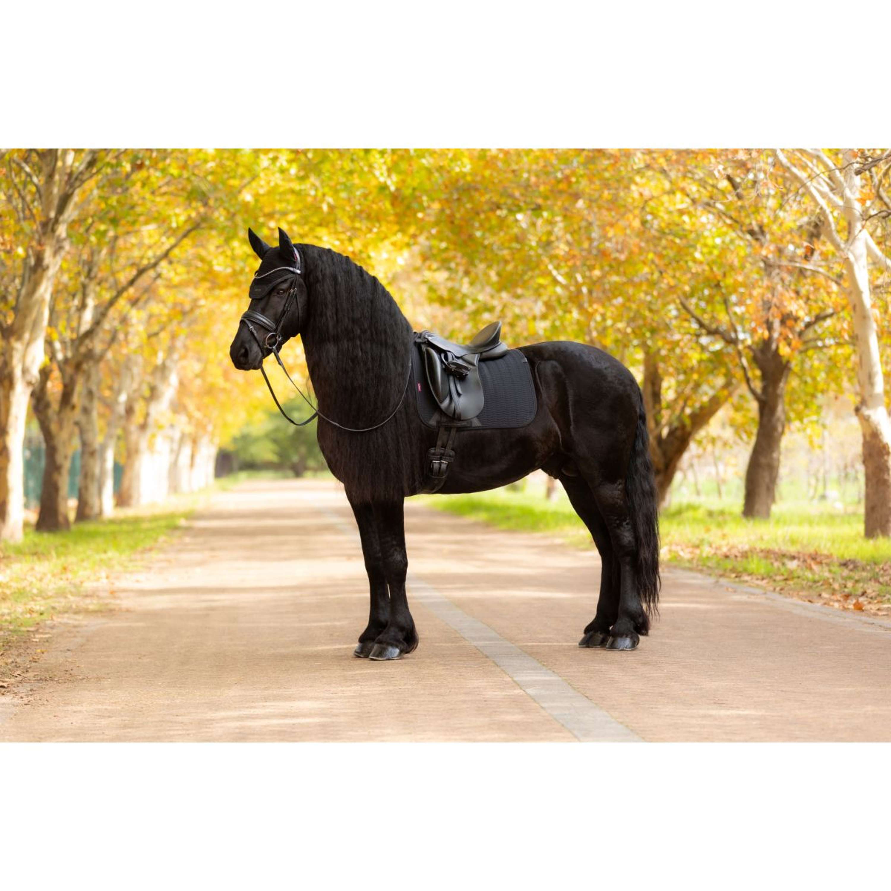 LeMieux Saddlepad Essence Dressage Black