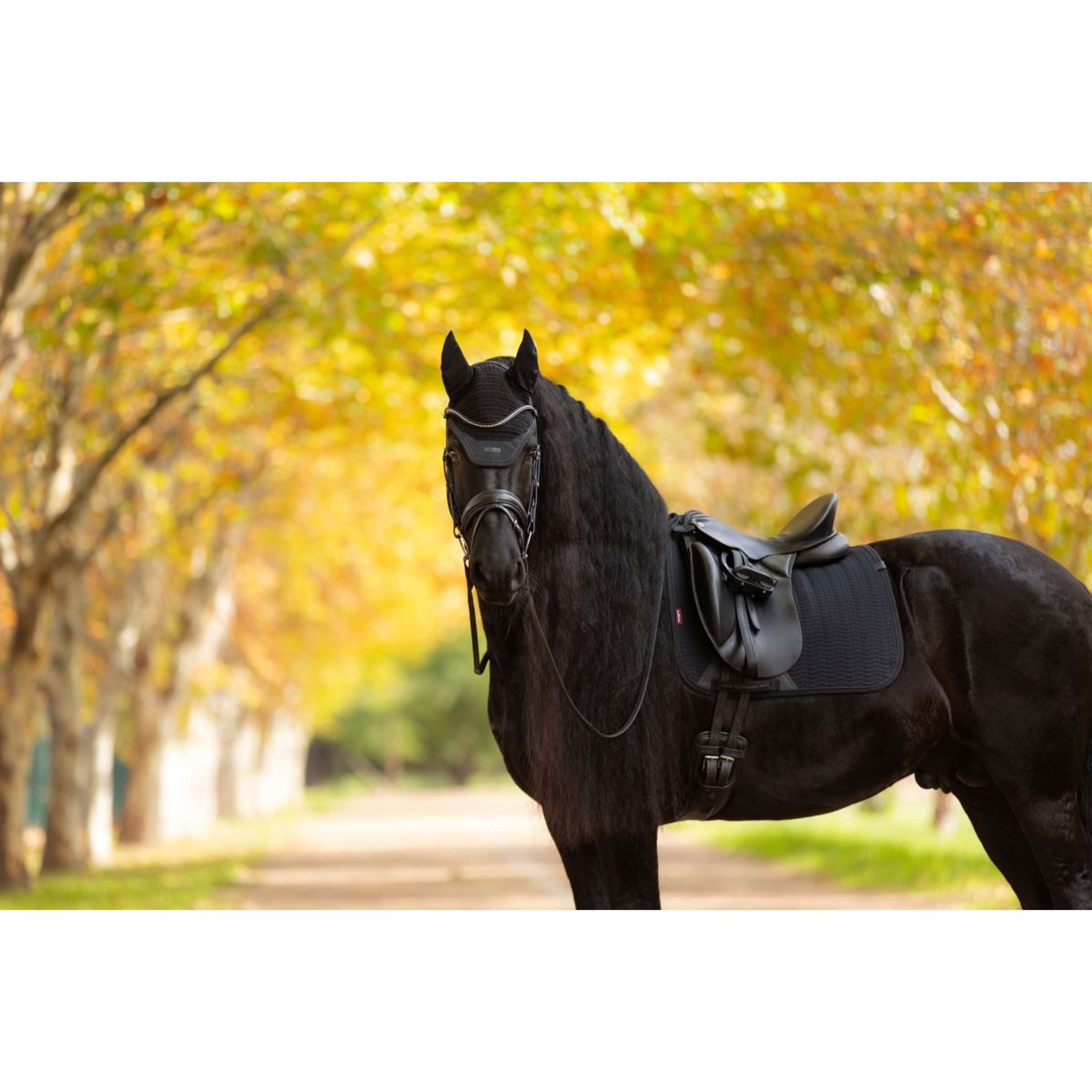 LeMieux Saddlepad Essence Dressage Black
