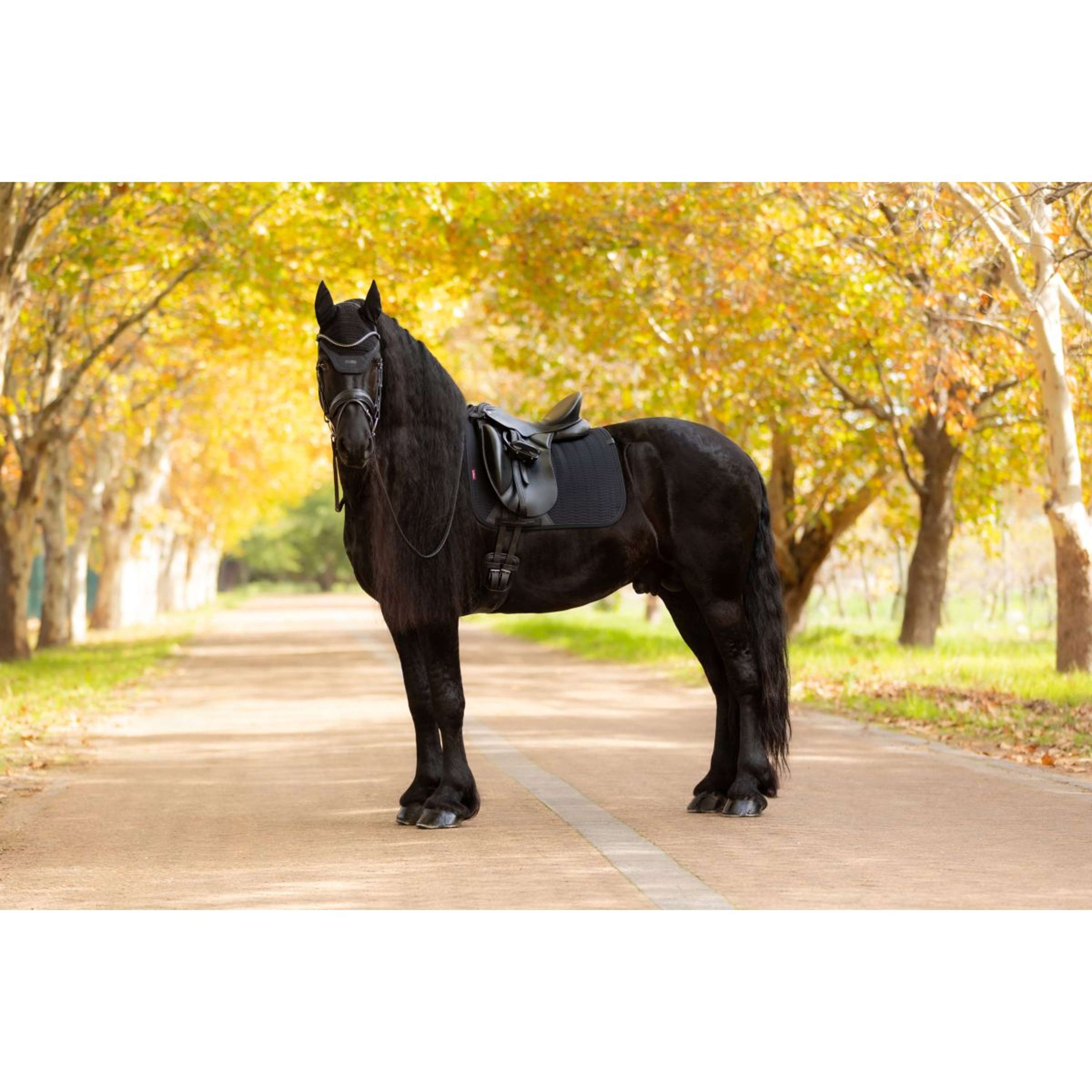 LeMieux Saddlepad Essence Dressage Black