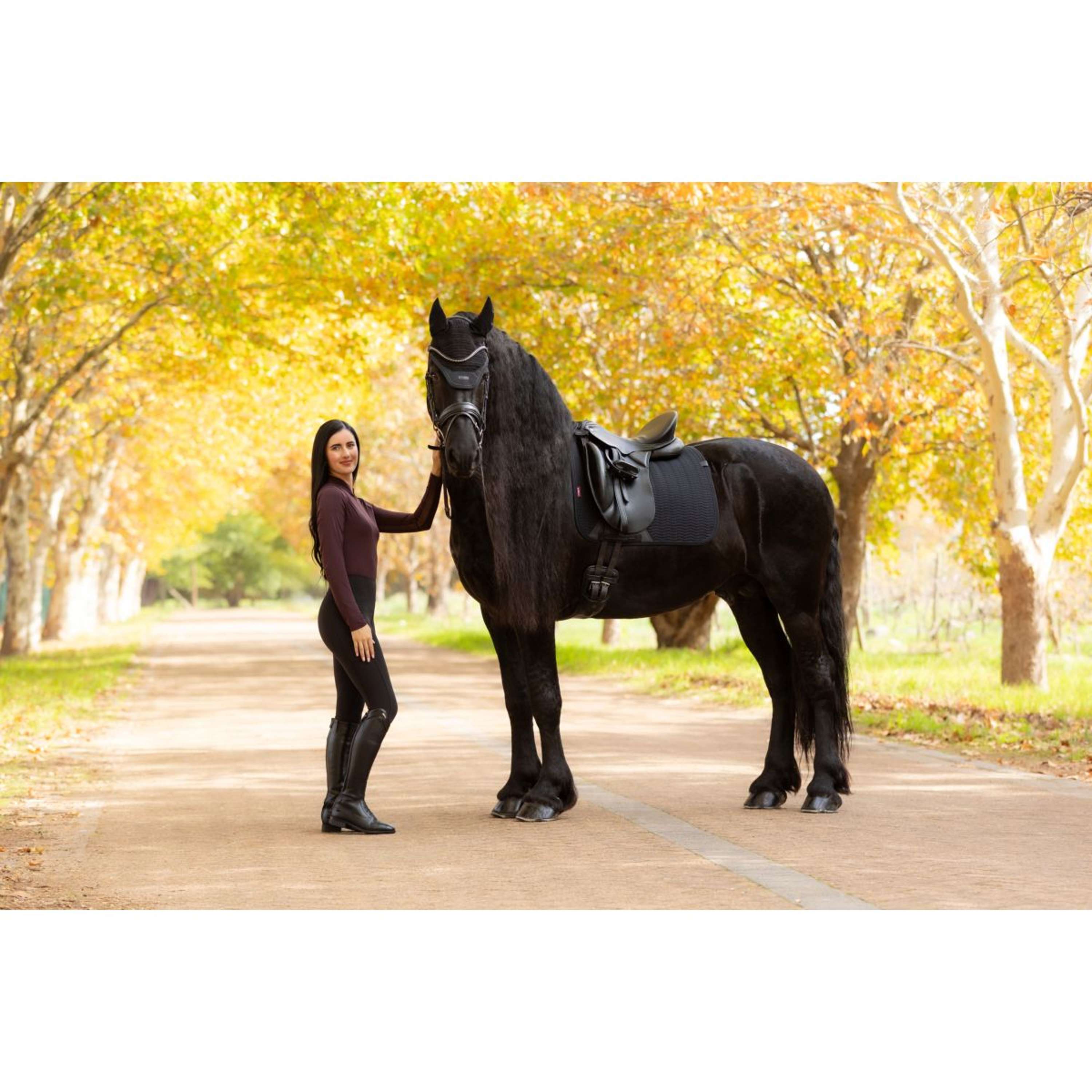LeMieux Saddlepad Essence Dressage Black
