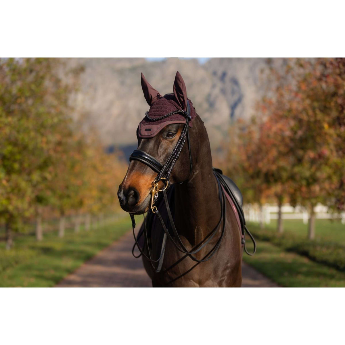 LeMieux Ear Bonnet Essence Damson