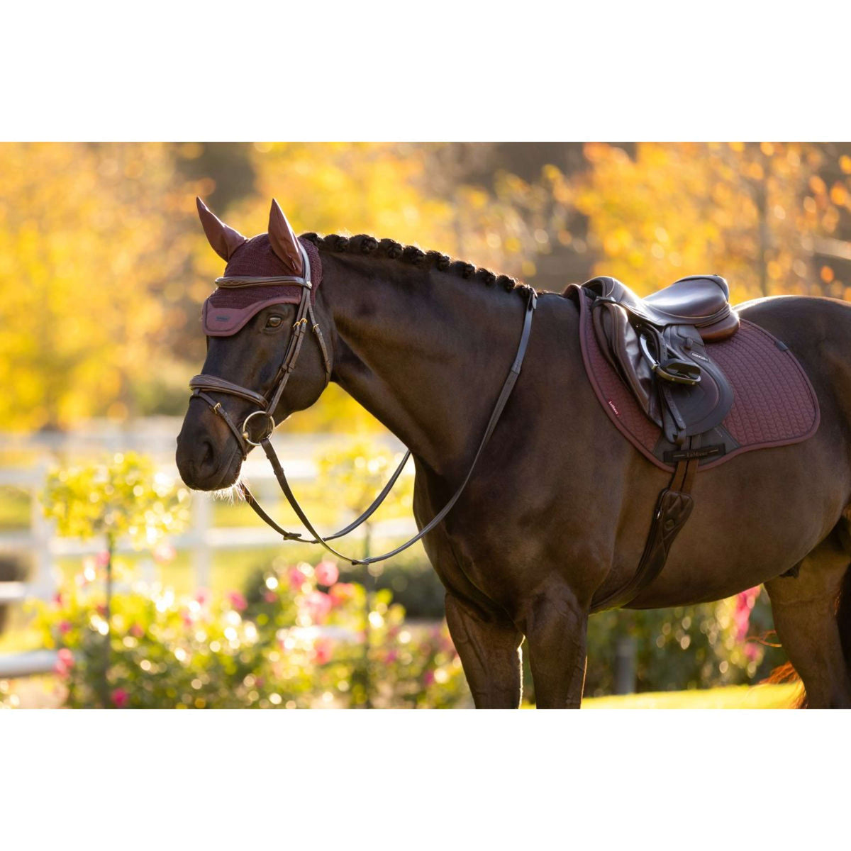 LeMieux Ear Bonnet Essence Damson