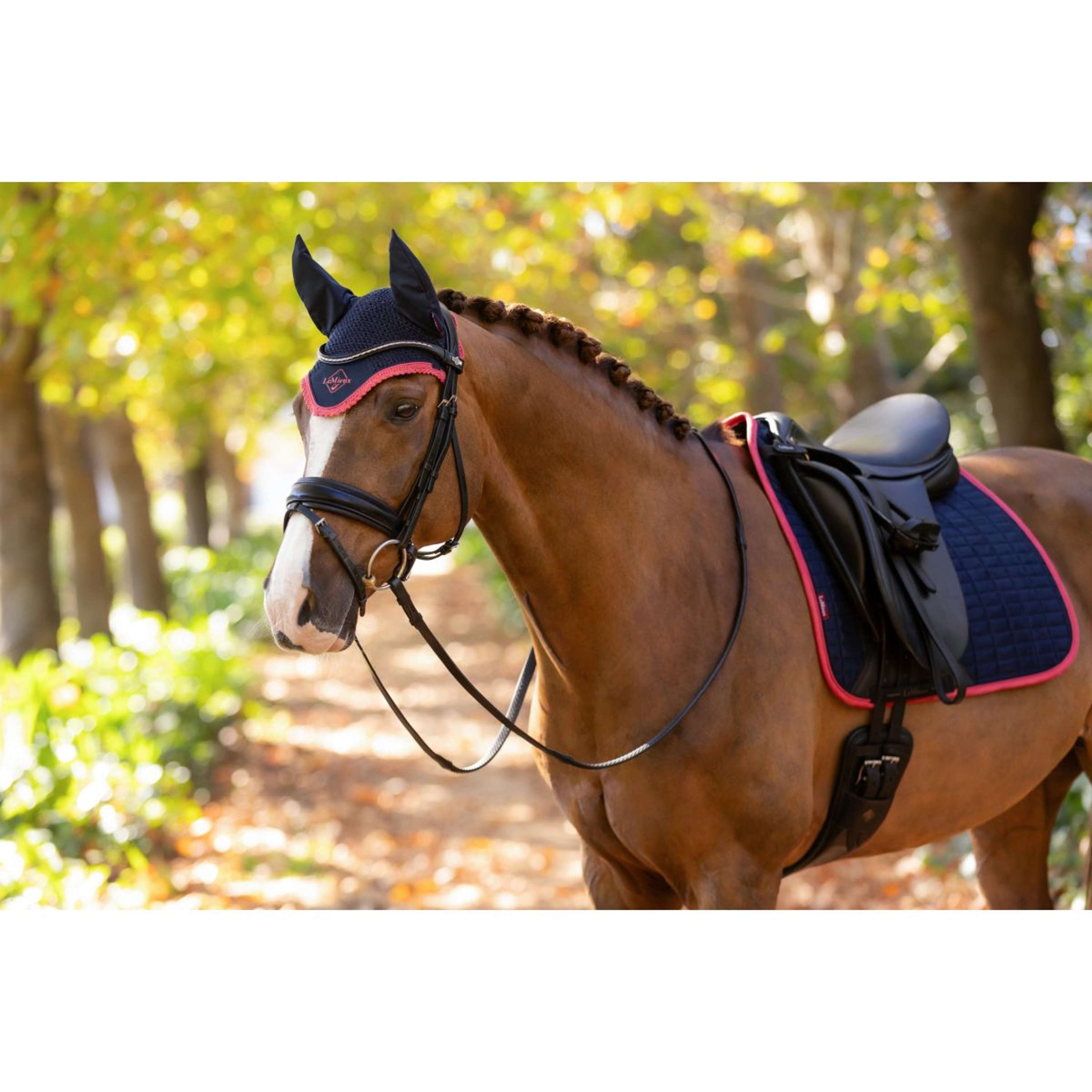 LeMieux Ear Bonnet Classic Navy/Cranberry LeMieux Ear Bonnet Classic Navy/Cranberry