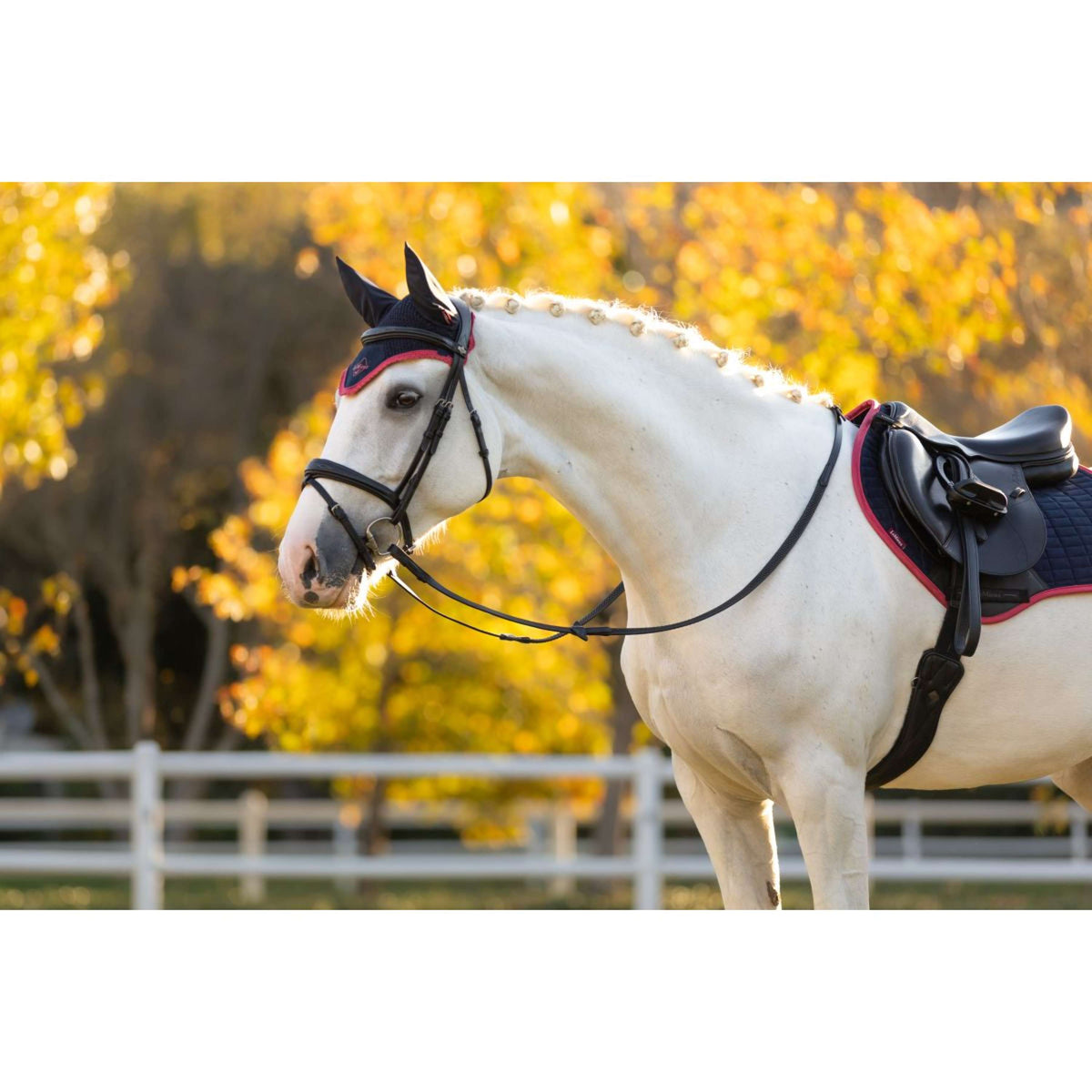 LeMieux Ear Bonnet Classic Navy/Cranberry