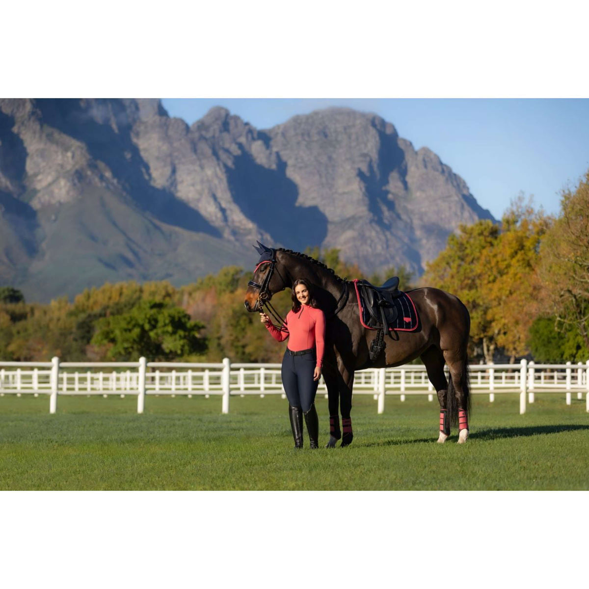 LeMieux Saddlepad Loire Classic Dressage Navy/Cranberry