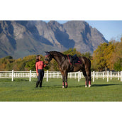 LeMieux Saddlepad Loire Classic Dressage Navy/Cranberry