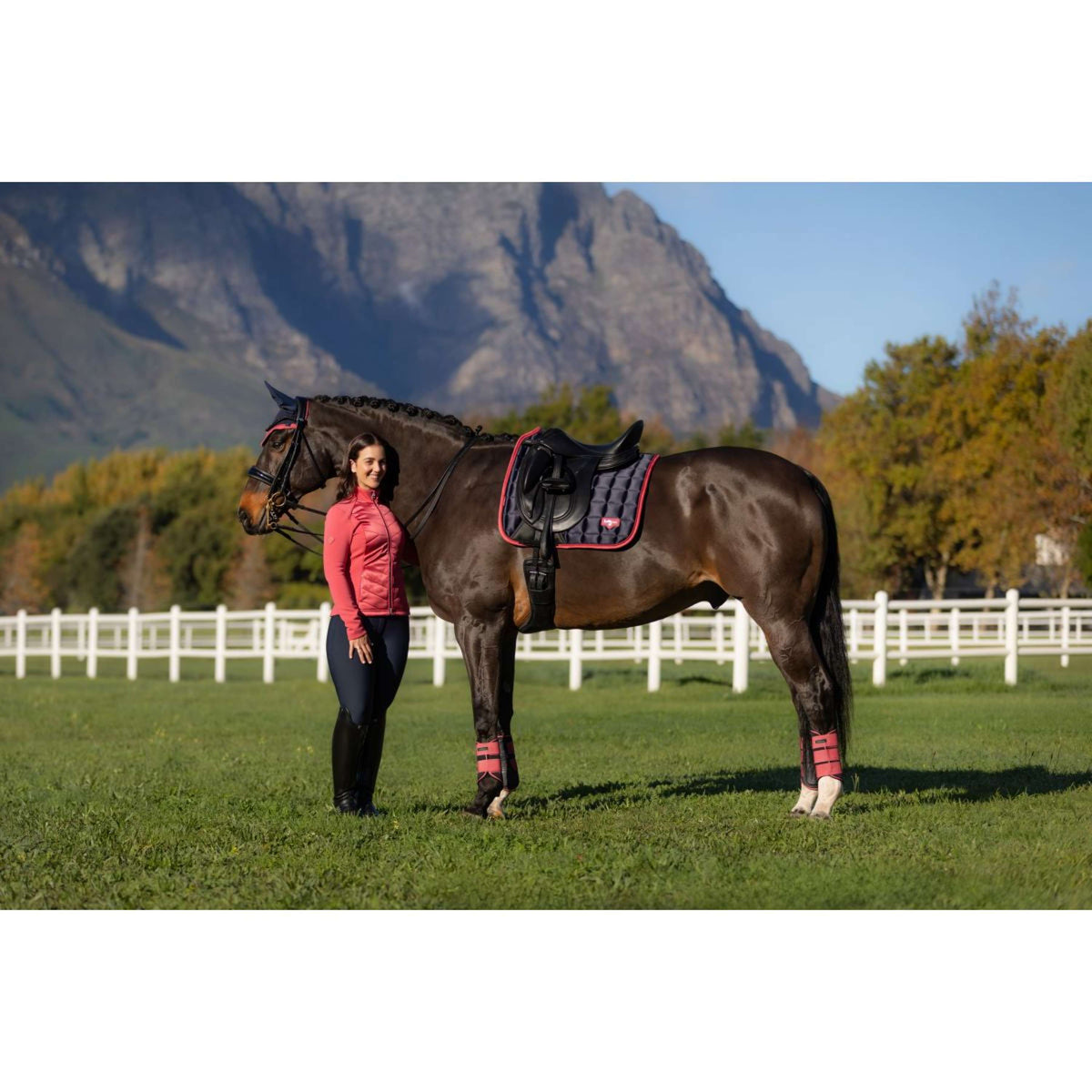 LeMieux Saddlepad Loire Classic Dressage Navy/Cranberry