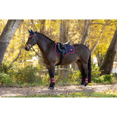 LeMieux Saddlepad Loire Classic General Purpose Navy/Cranberry