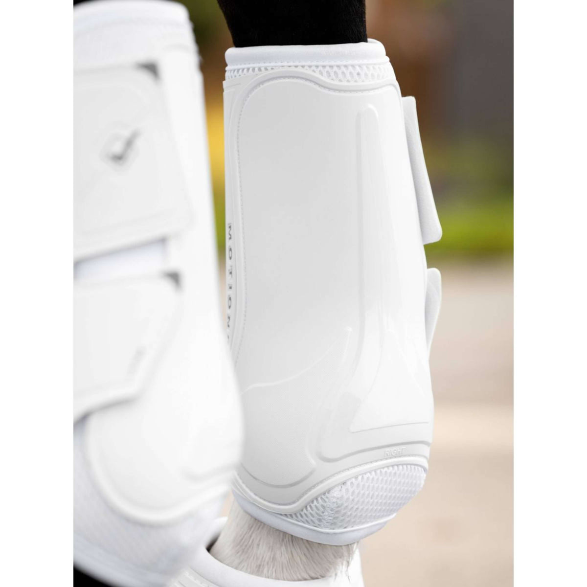 LeMieux Leg protection Motionflex White