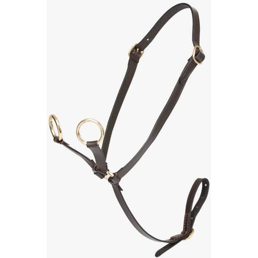 LeMieux Toy Pony Martingale Brown