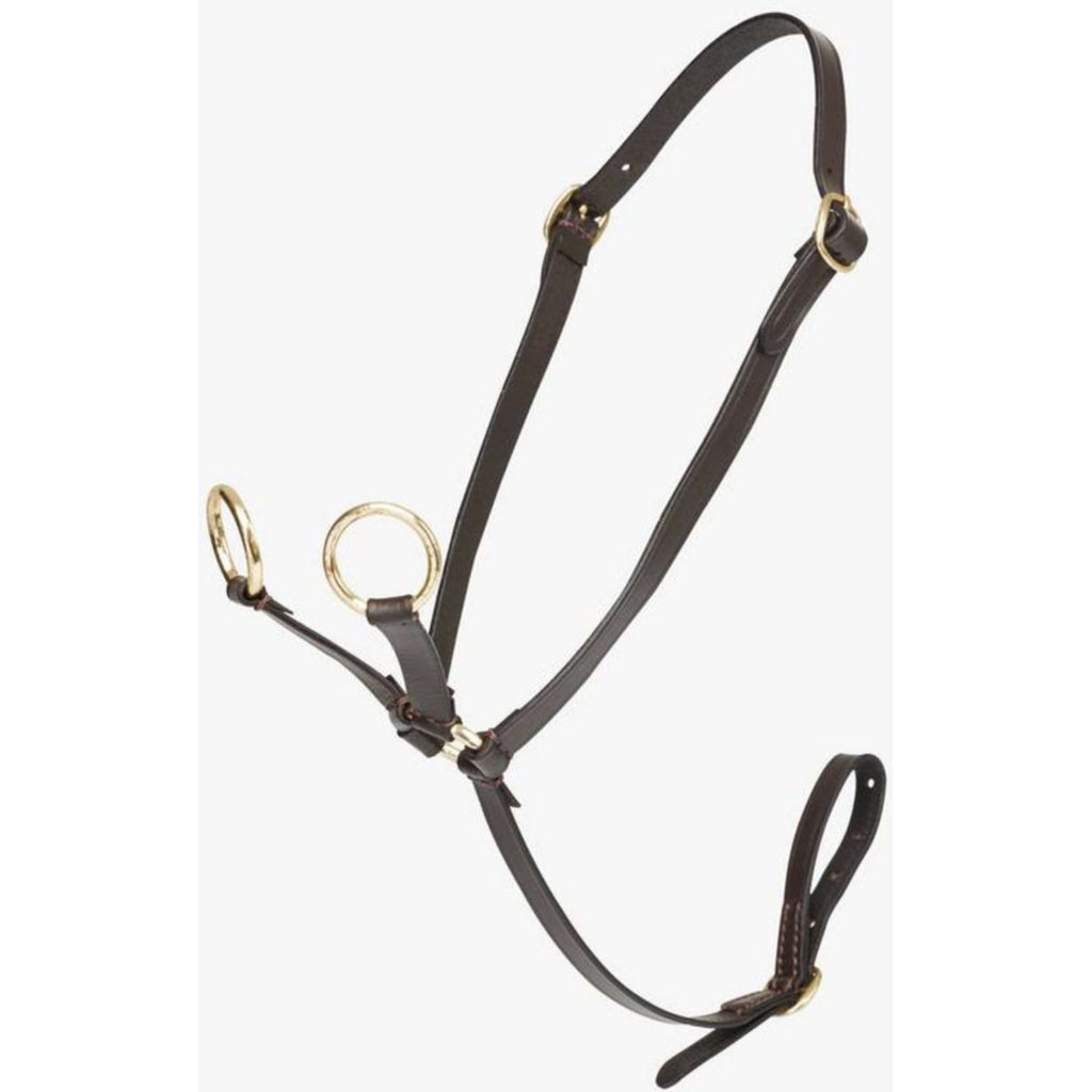 LeMieux Toy Pony Martingale Brown