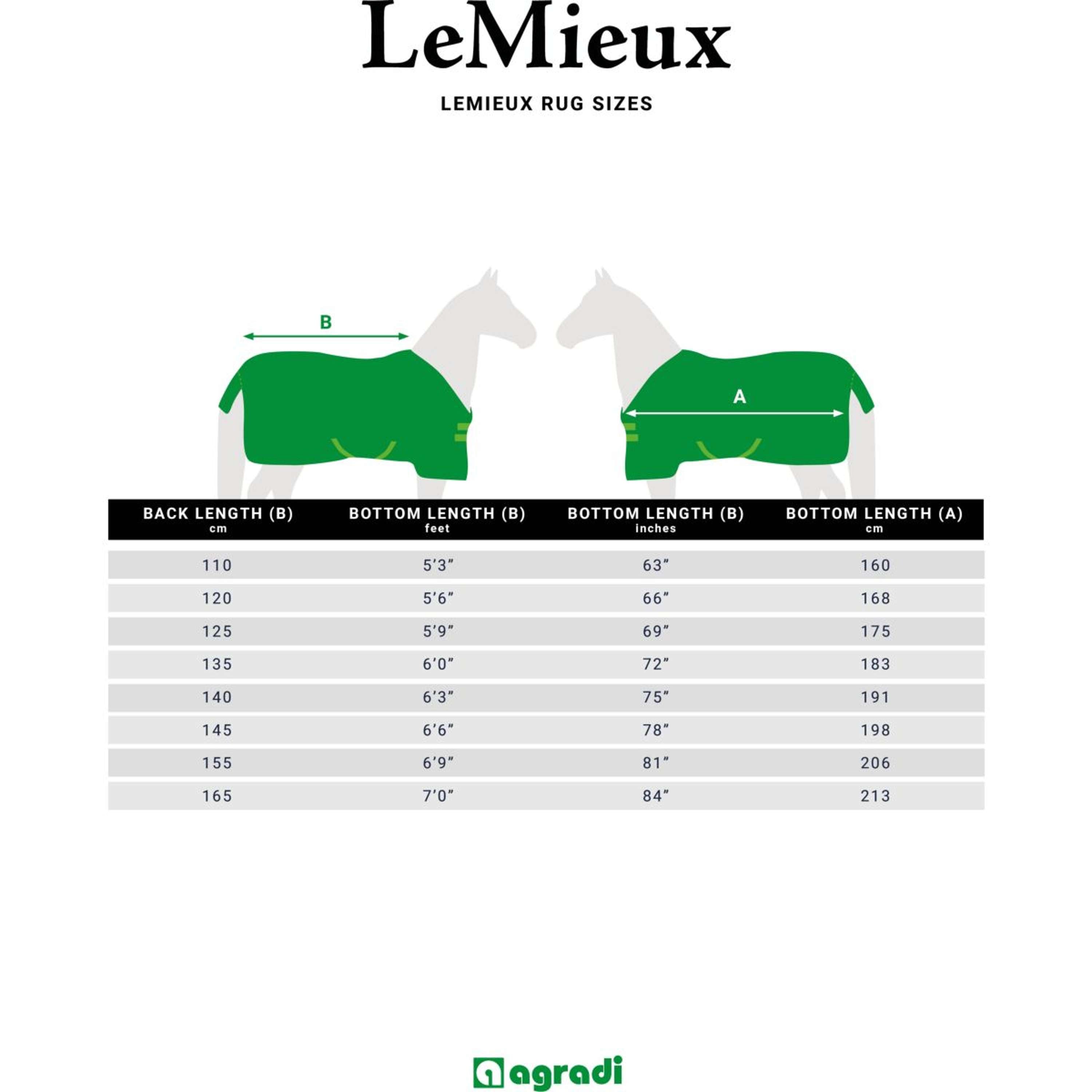 LeMieux Rug Kudos Turnout 350g Navy