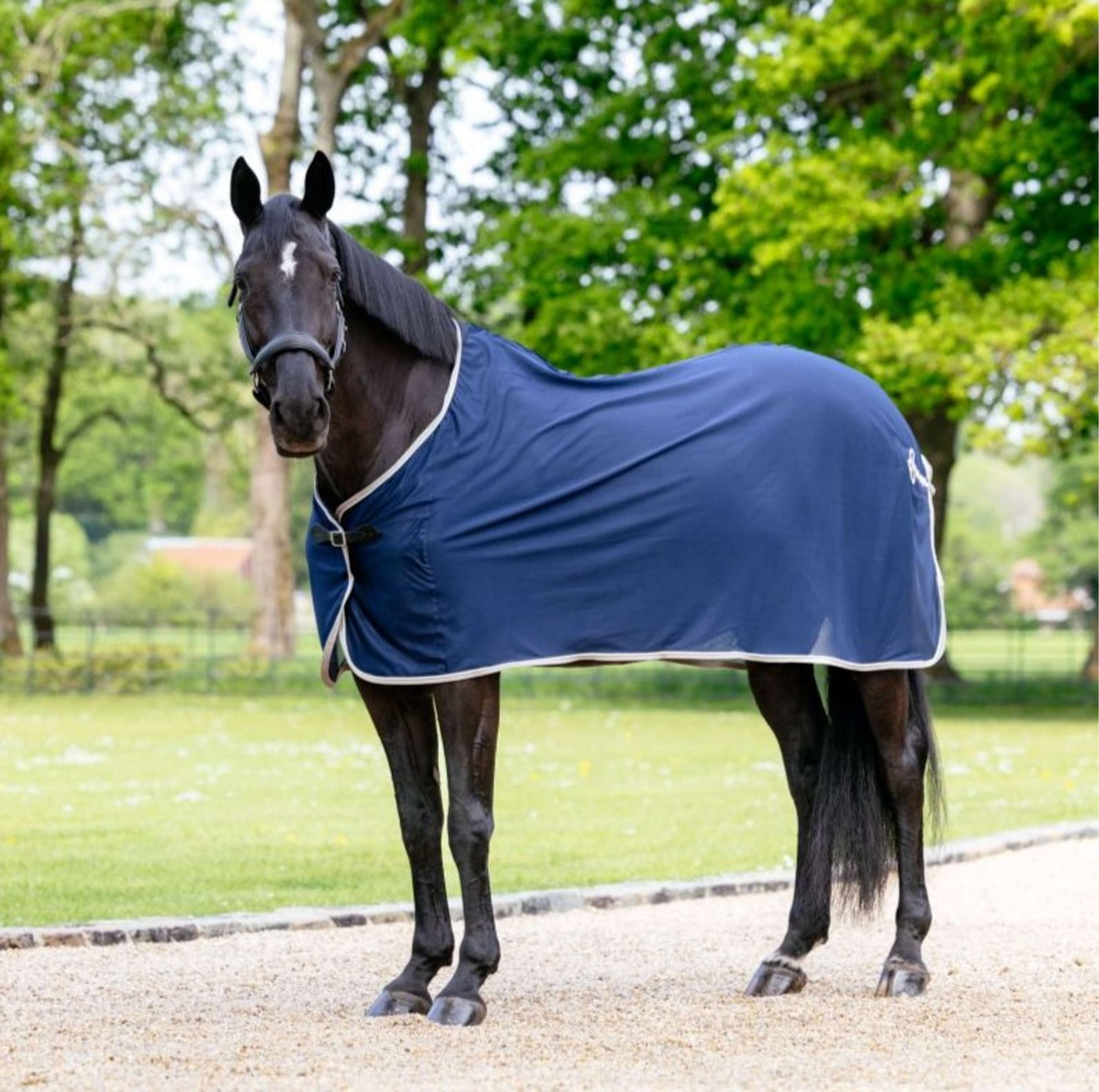 LeMieux Summer Rug Navy