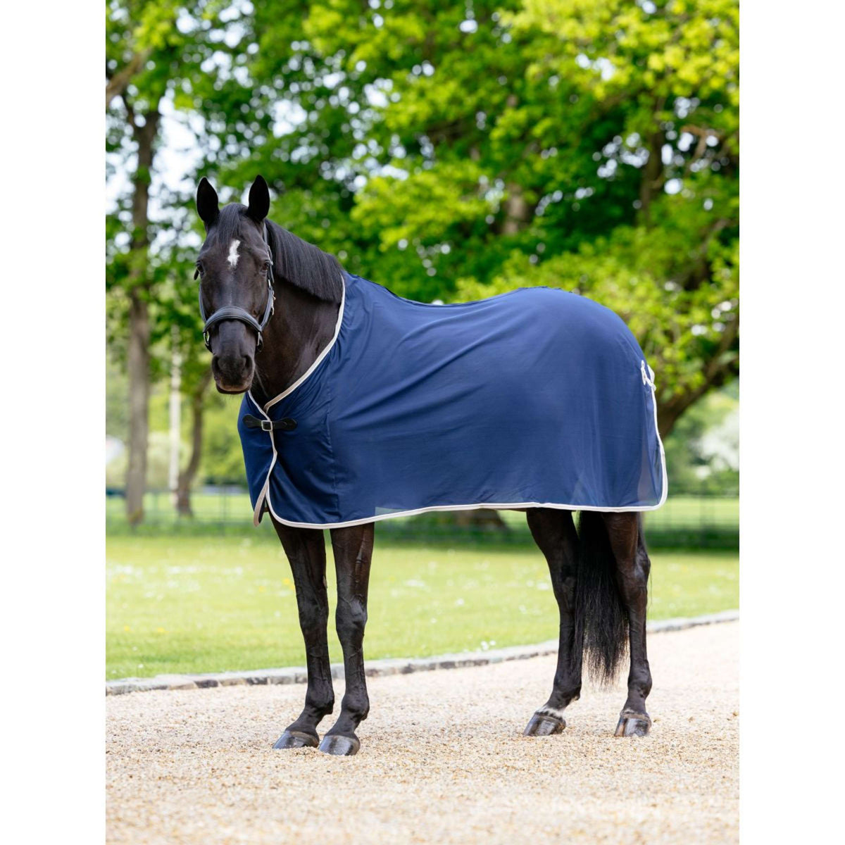 LeMieux Summer Rug Navy