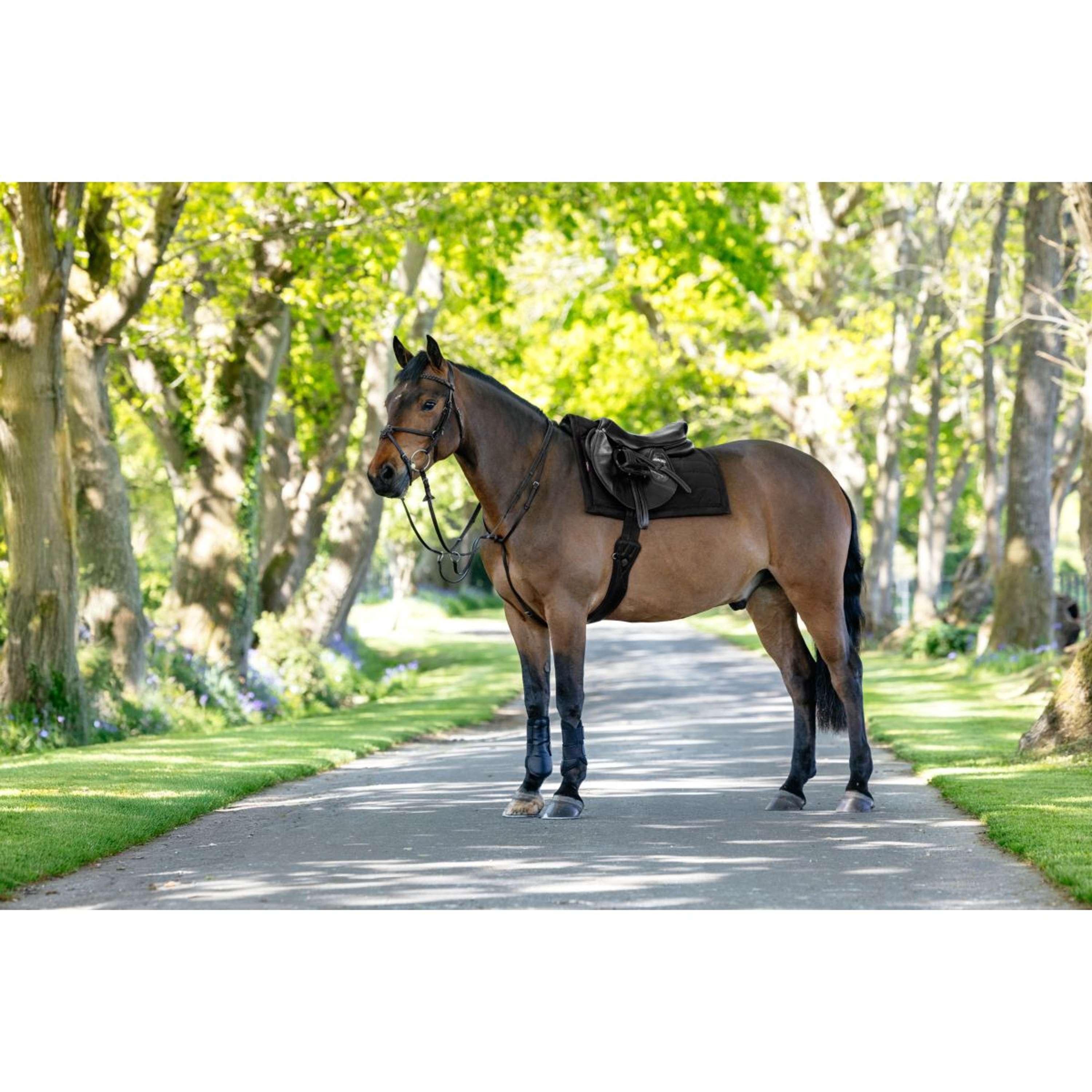 LeMieux Saddlepad Pillow Pad Black