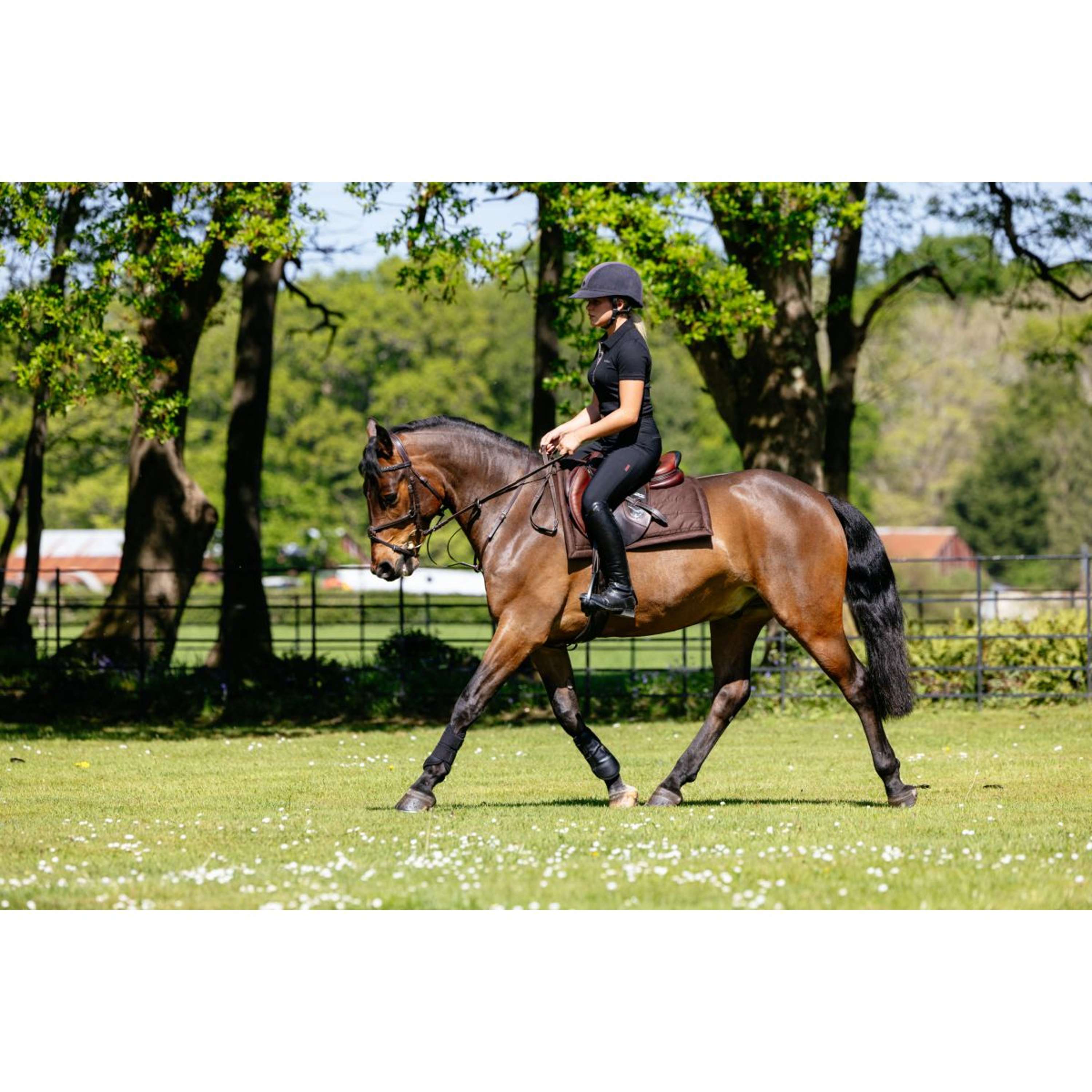 LeMieux Saddlepad Pillow Pad Brown