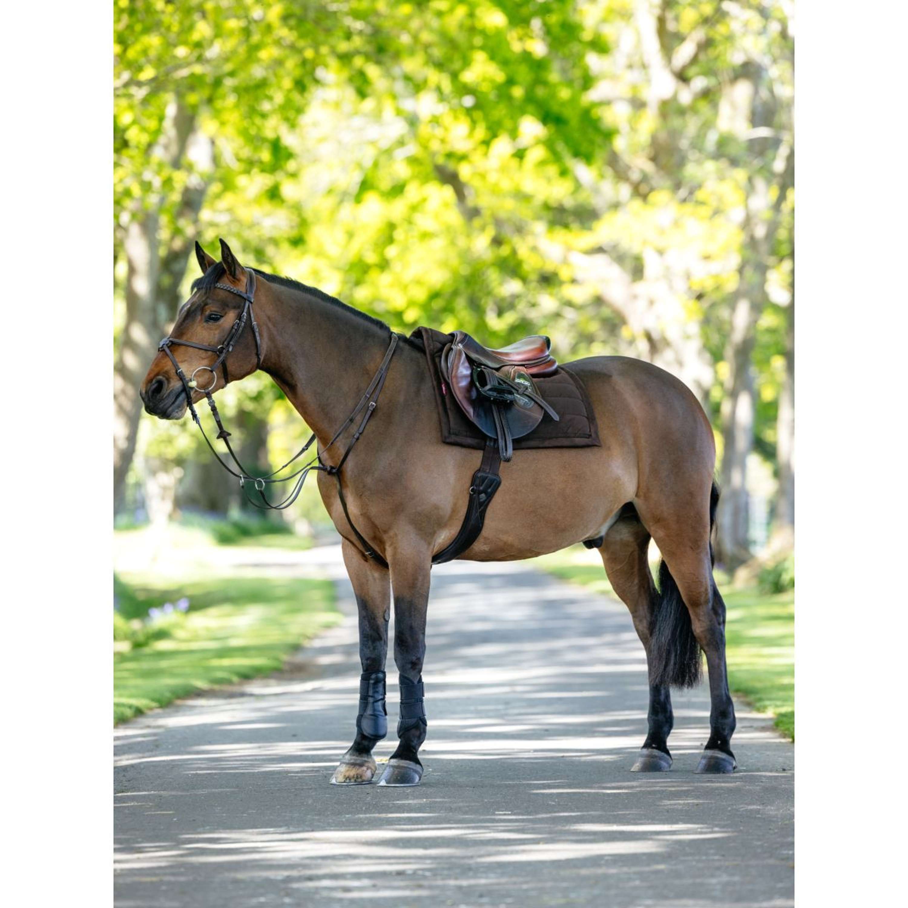 LeMieux Saddlepad Pillow Pad Brown