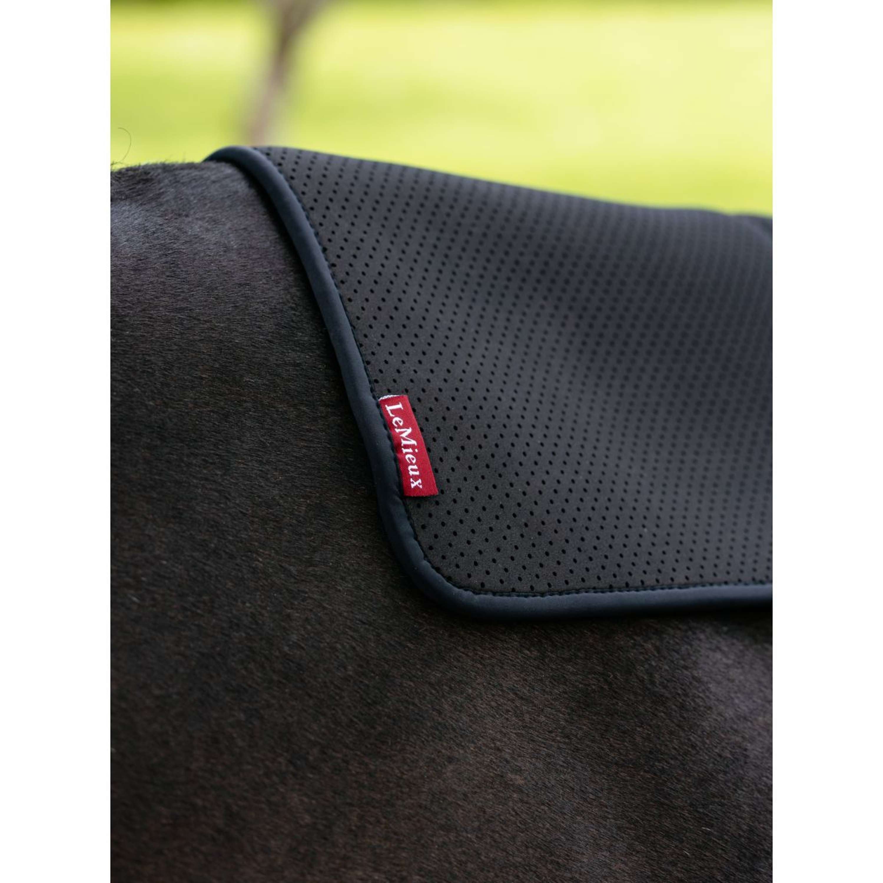 LeMieux Underlay Non-slip Square Black