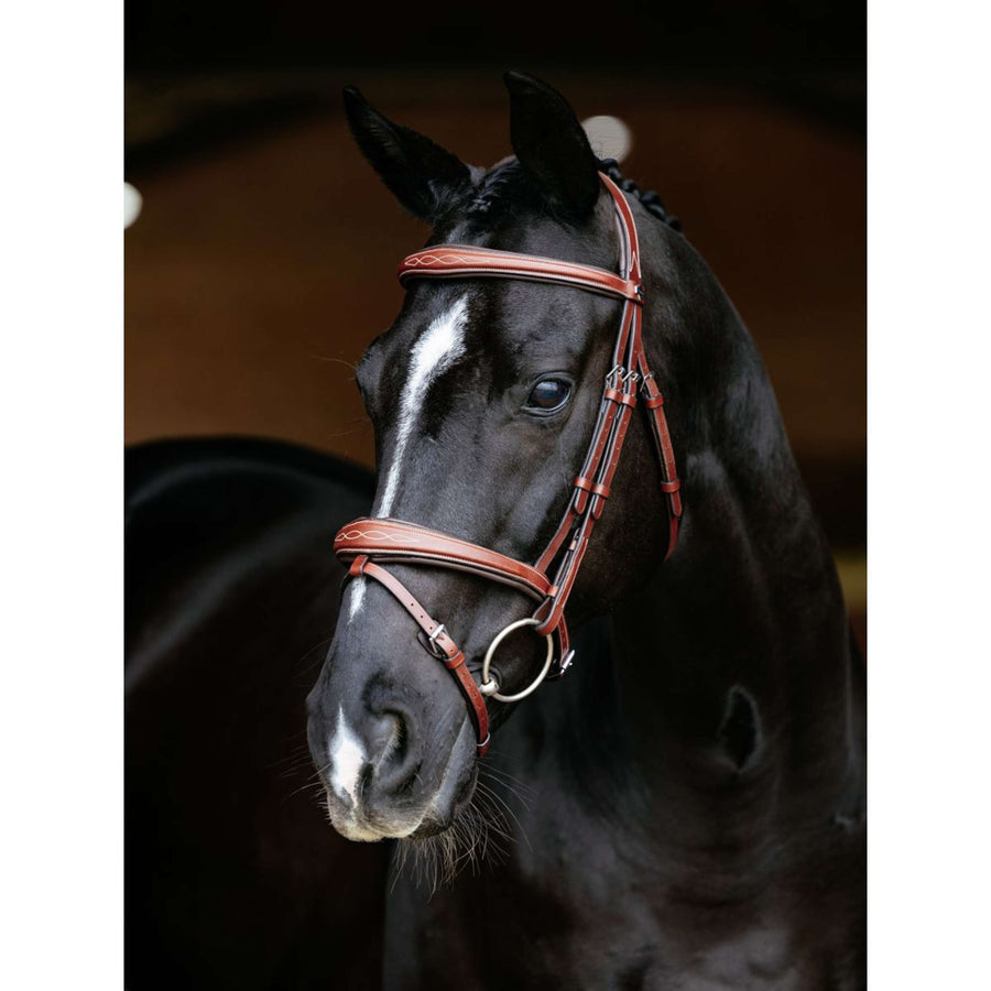 LeMieux Bridle Kudos Competition Flash Chestnut