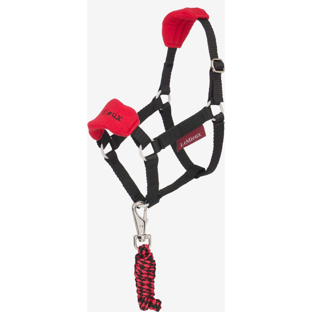 LeMieux Hobby Horse Head Collar Set Vogue Chilli