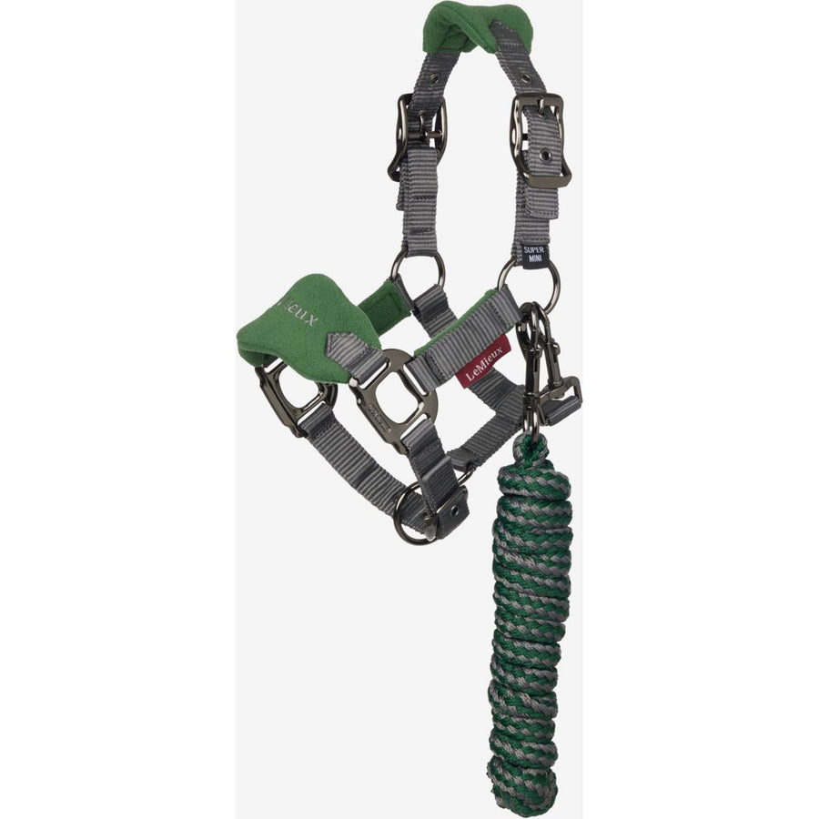 LeMieux Head Collar Set Mini Vogue Hunter Green