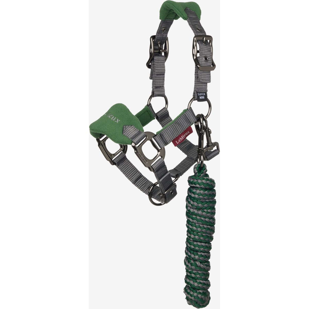 LeMieux Head Collar Set Mini Vogue Hunter Green