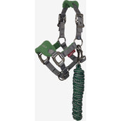 LeMieux Head Collar Set Mini Vogue Hunter Green