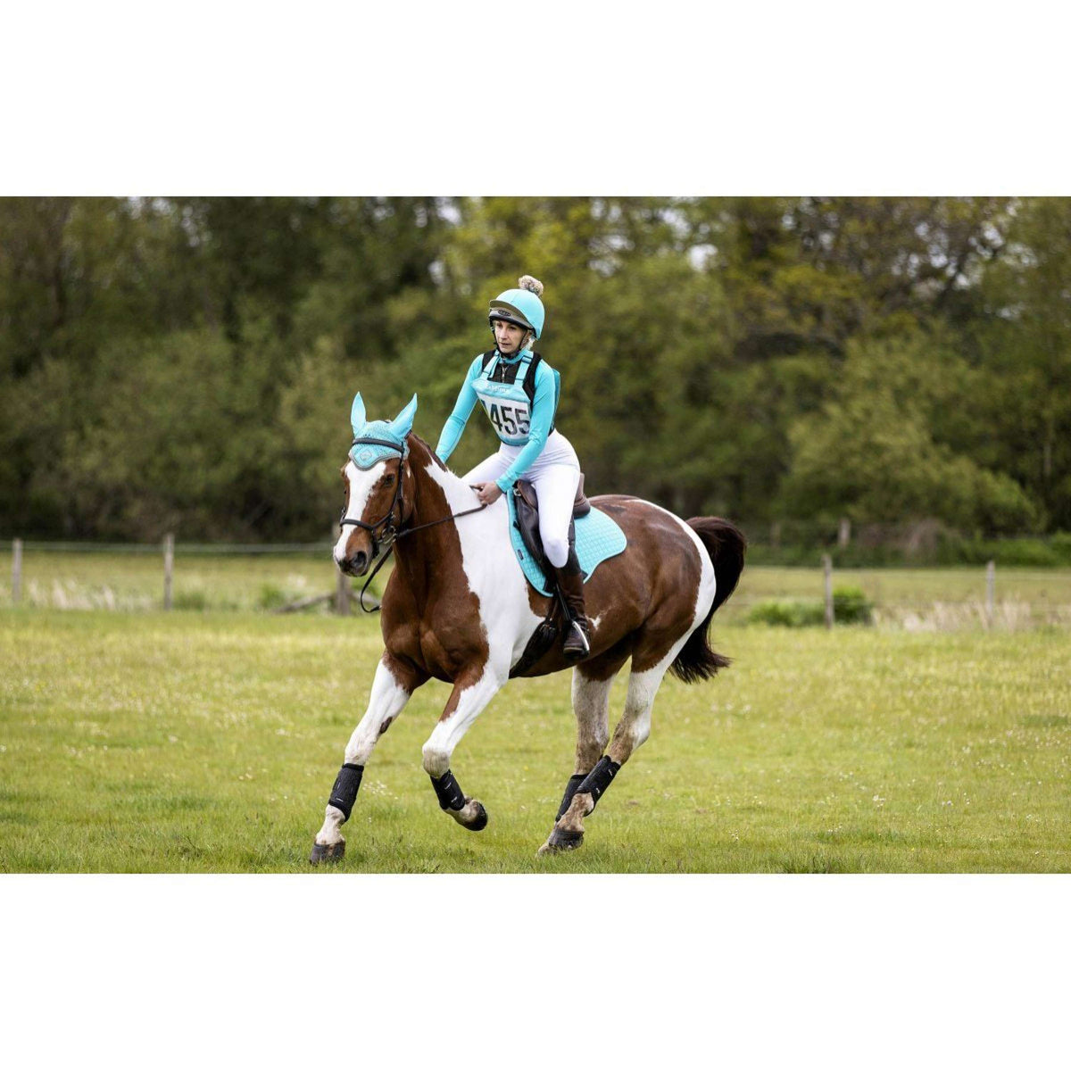 LeMieux Number Holder Eventing Azure