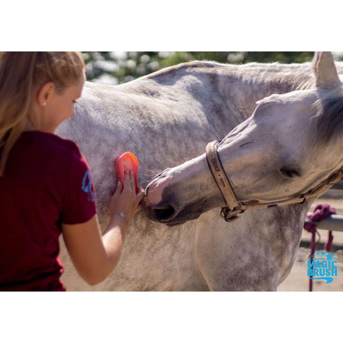 Agradi Horse Magic Brush Dark Green