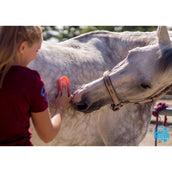 Magic Brush Brush Pink Pony Pink