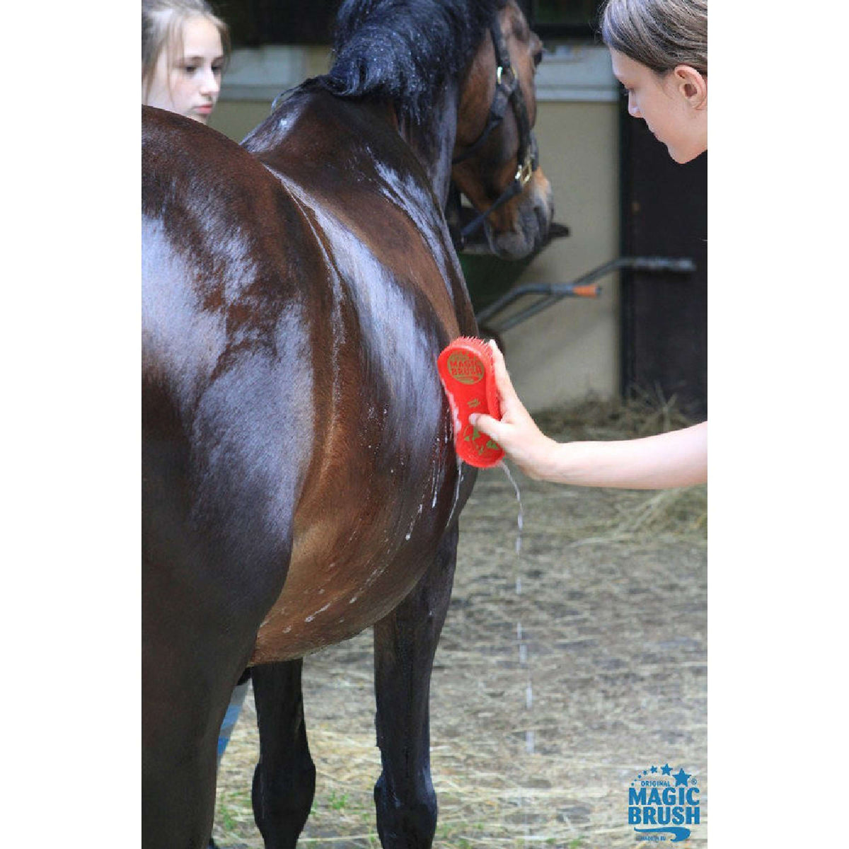 Magic Brush Brush Pink Pony Pink