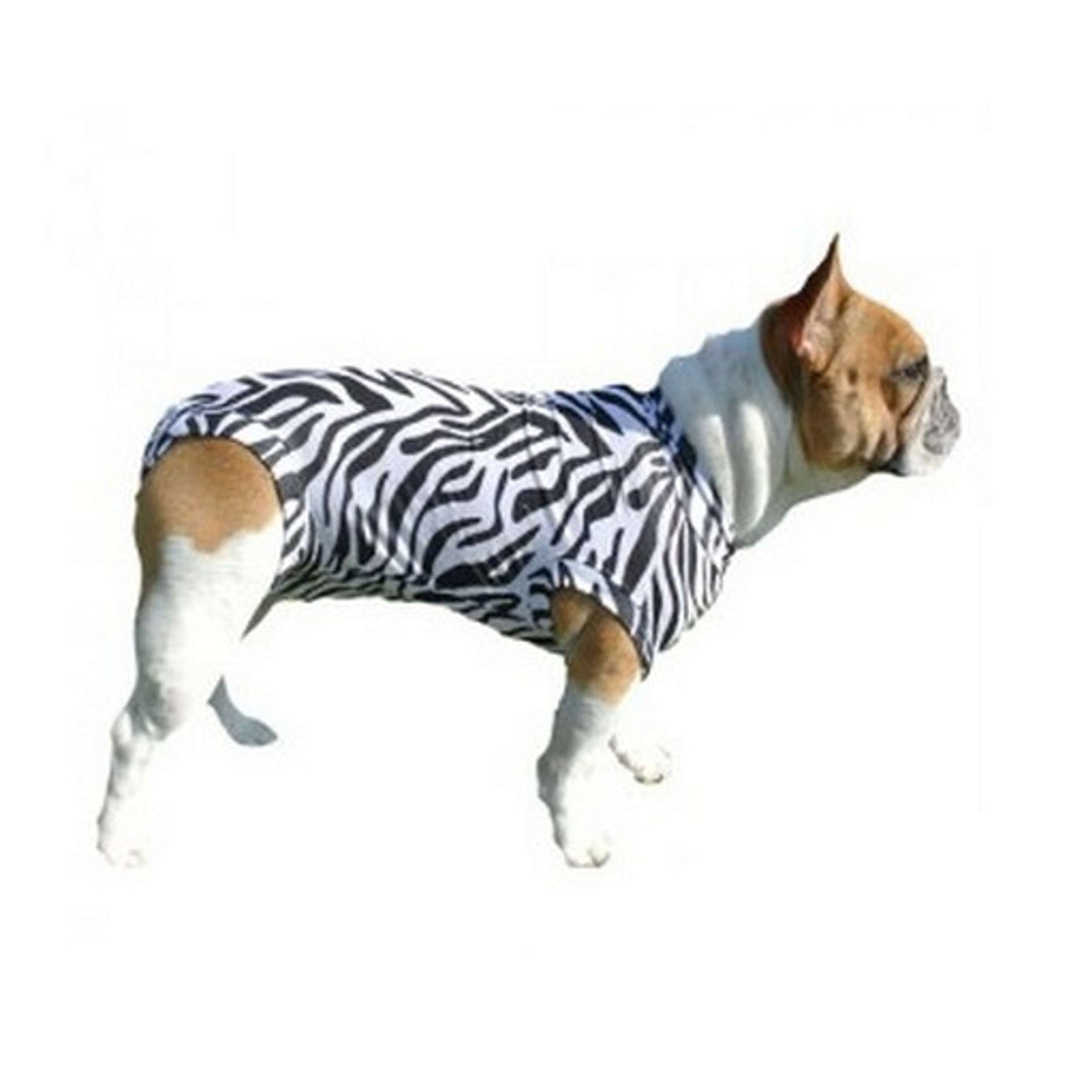 Medical Pet Shirt Shirt Dog Zebra