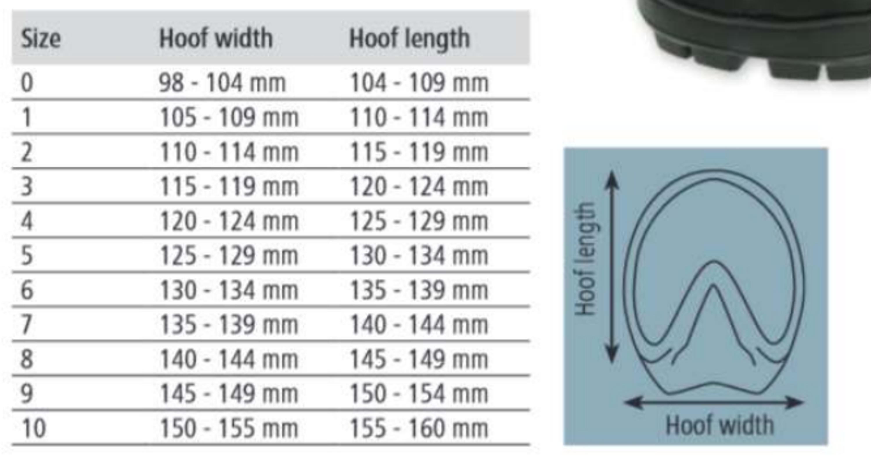 Covalliero Horse Shoe