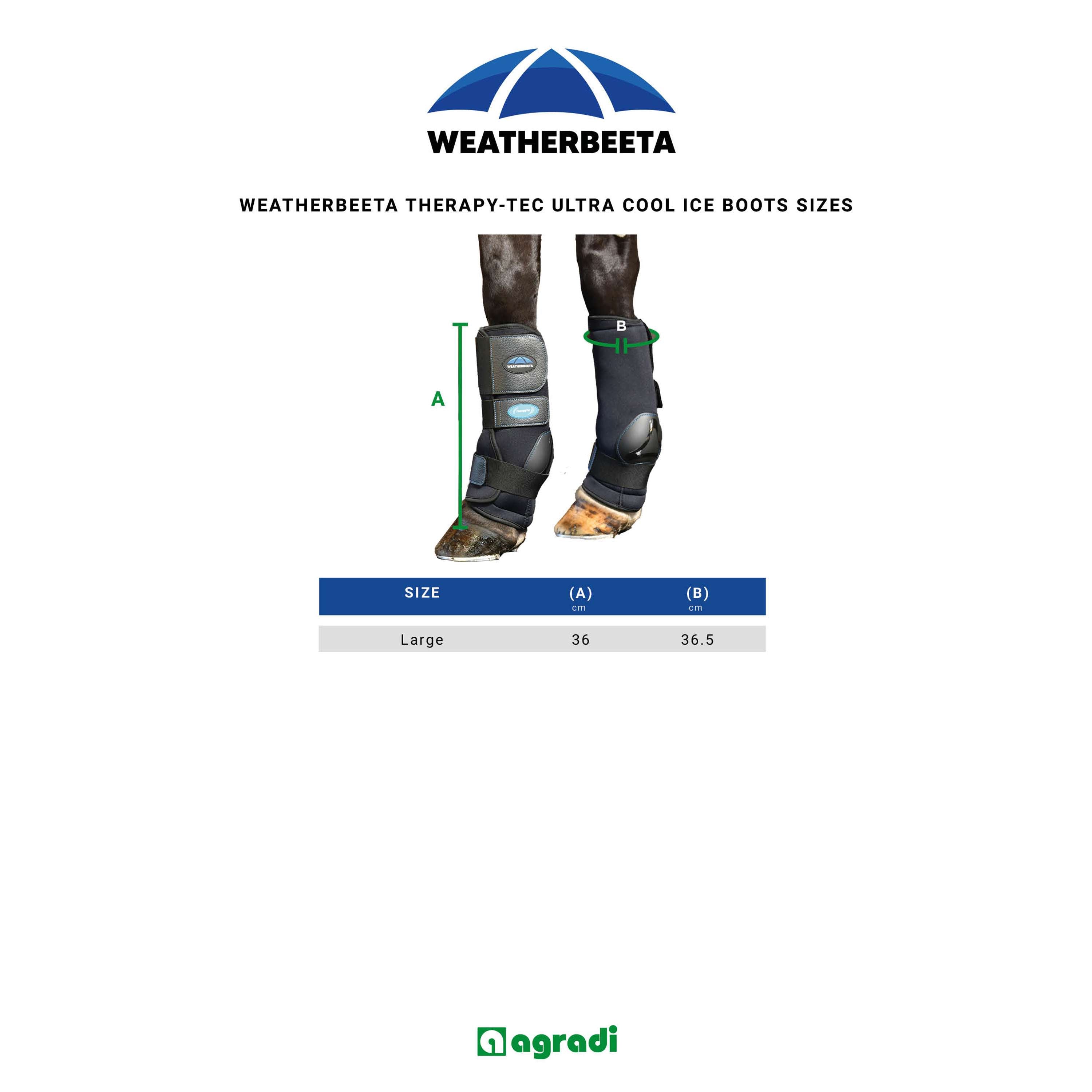 WeatherBeeta Ice Boots Therapy-Tec II Ultra Cool Black
