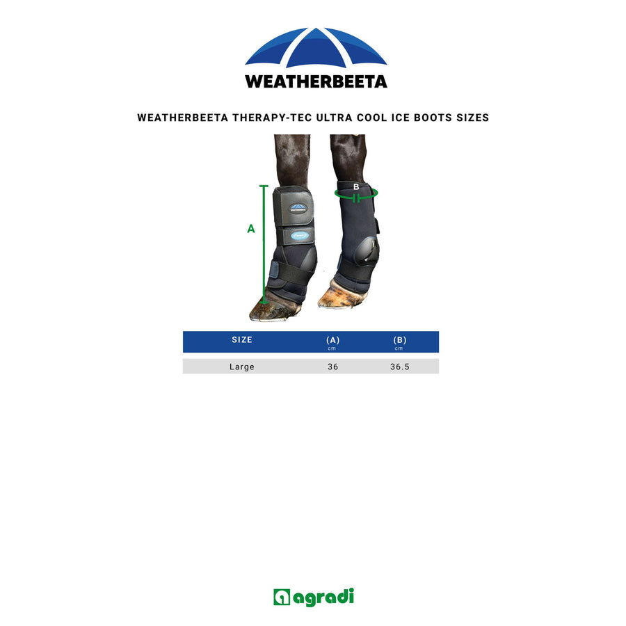 WeatherBeeta Ice Boots Therapy-Tec II Ultra Cool Black
